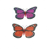 Бабочка магнит РИК0105