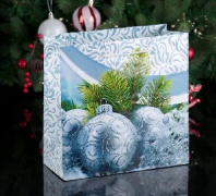 Пакет подарочный "Морозный день" 22,5 х 23 х 10 см   4022311 от интернет-магазина Континент игрушек