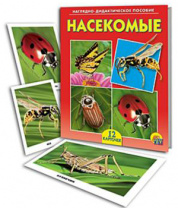 РЫЖИЙ КОТ Дидактическое пособие "Мир вокруг нас", картон, 16,5х21,5см, 12 дизайнов от интернет-магазина Континент игрушек