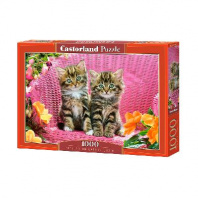 Пазл Castorland 1000 деталей, Котята на стуле от интернет-магазина Континент игрушек