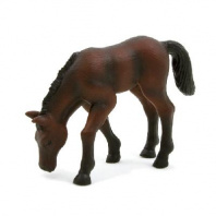 Лошадь Лошадь