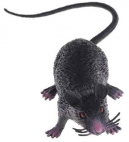 Крыса в пакете Крыса в пакете