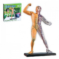 ЭВРИКИ Научный опыт "Человеческое тело" №SL-01926   3690719 от интернет-магазина Континент игрушек